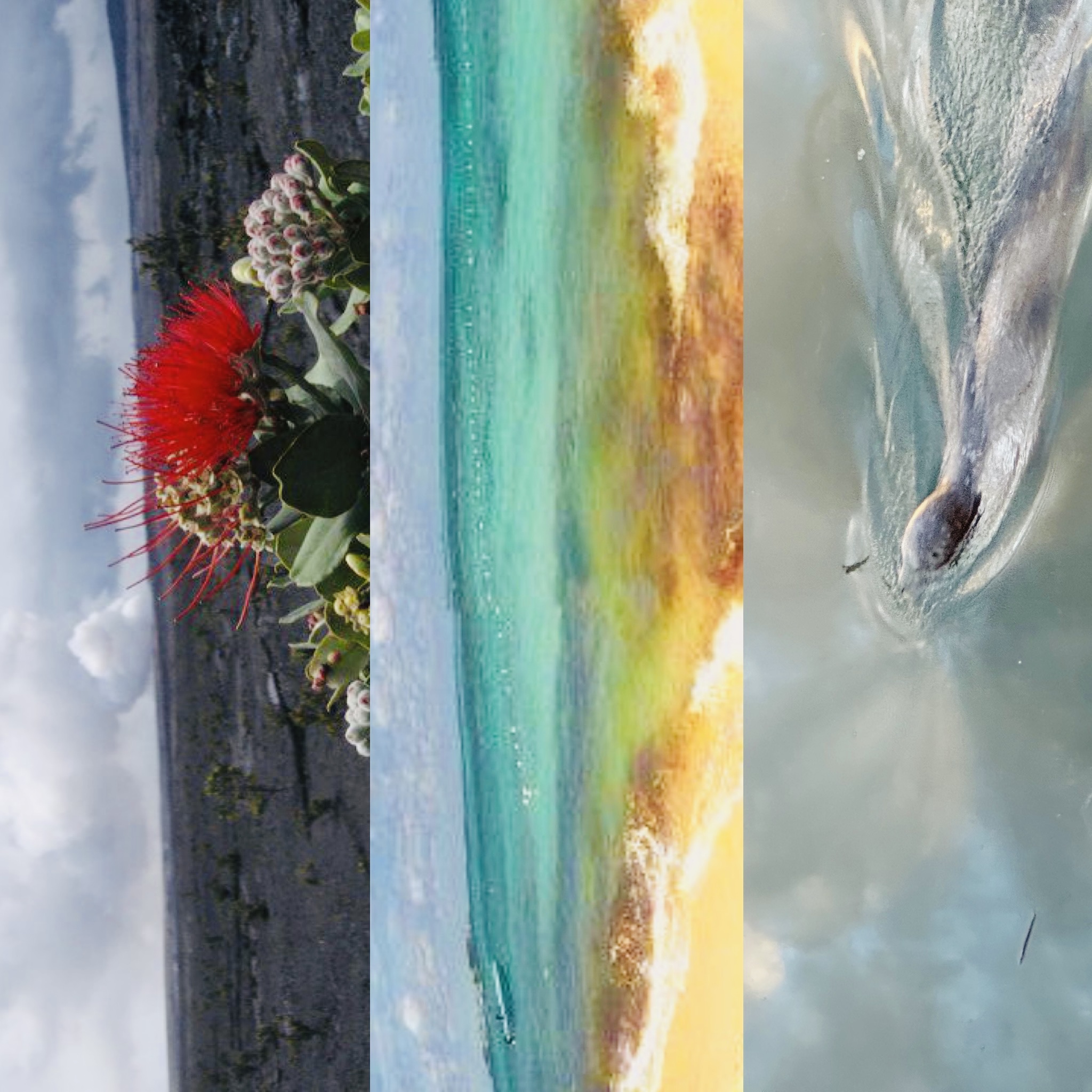 Photos of the covers of the Solarpunk Transformation Trilogy. Synch Chrome City, Mirror Island, and The Seasteaders.